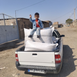 محصول نمونه 1