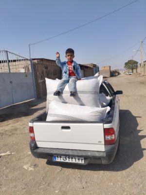 محصول نمونه 1